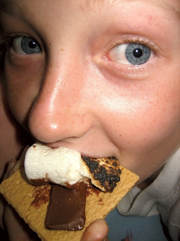 Closeup Smores bite