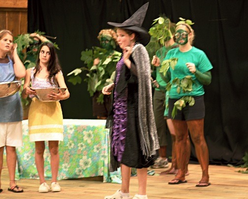 Into the Woods Musical