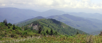 North Carolina Brevard Mountains