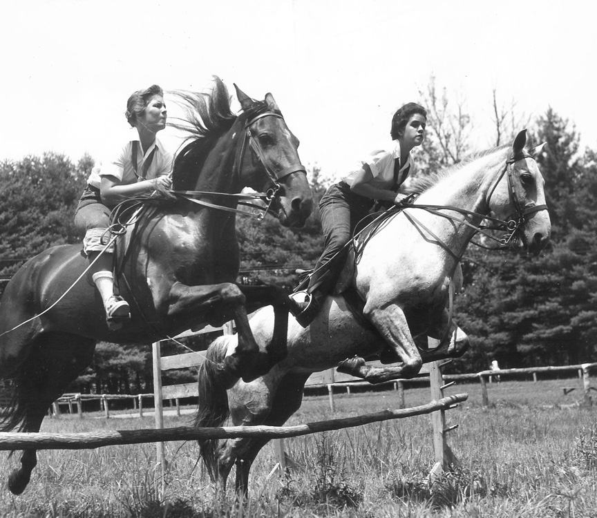 two horses jumping together