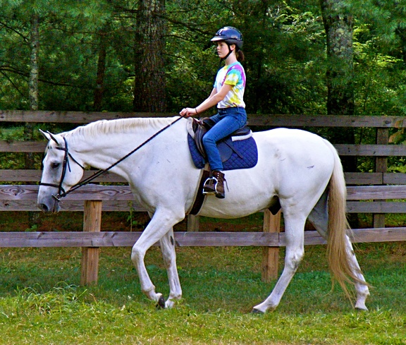 Youth Horse Camp rider