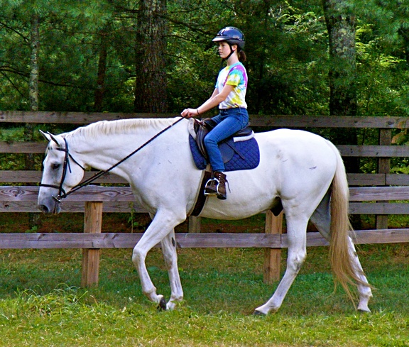 Youth Horse Camps