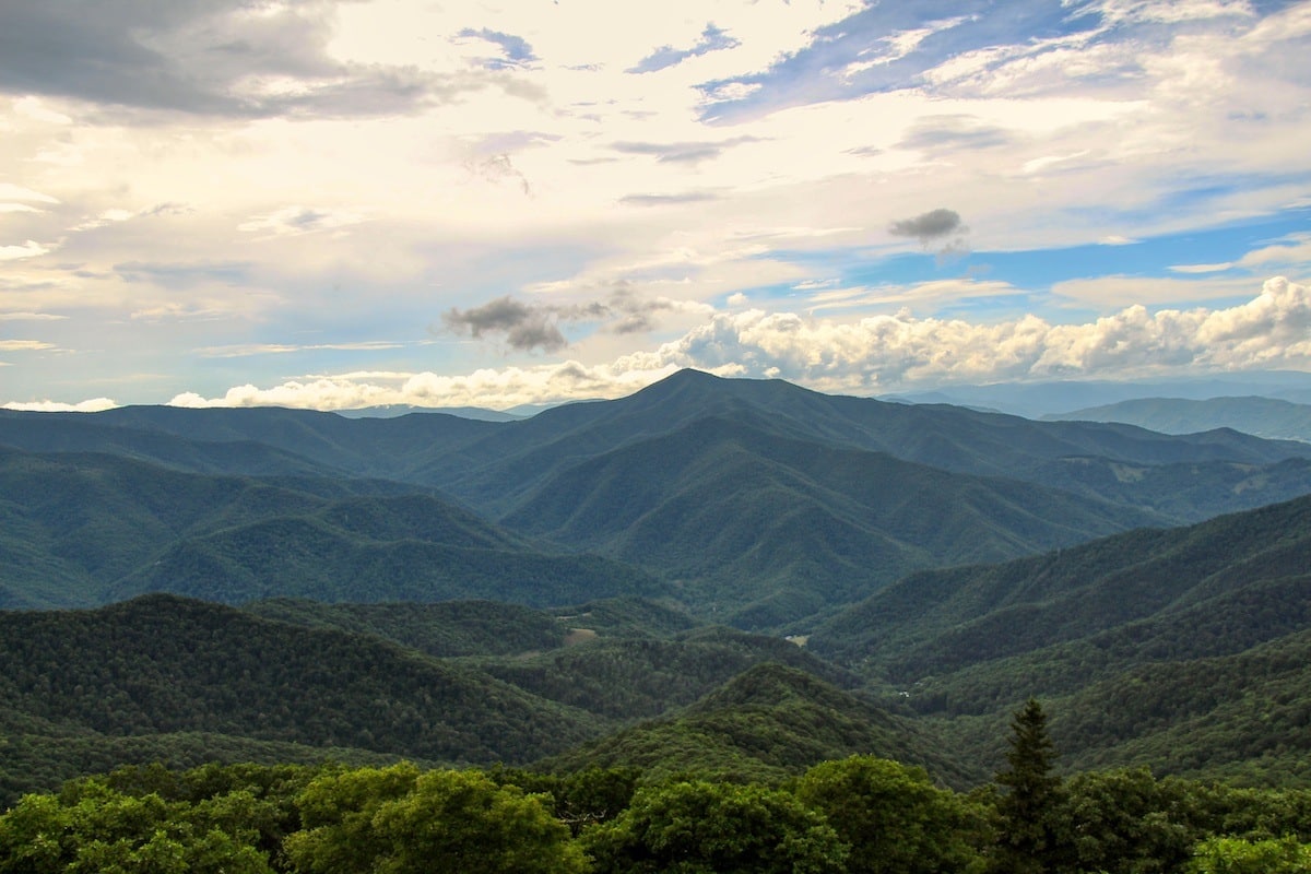 Camp View