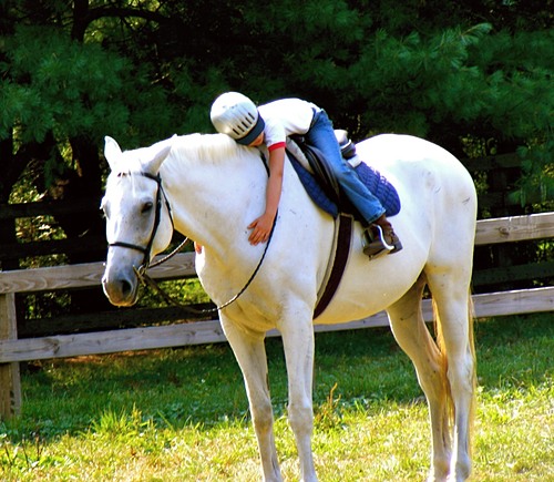 Girl hugging a horse