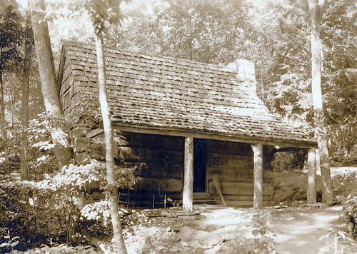 Goodwill Vintage Camp Cabin