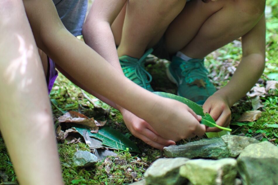 leaves and girls hands