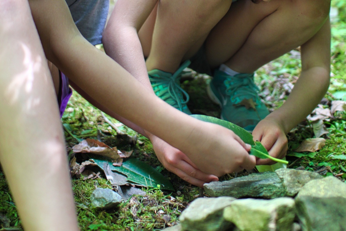 Girls hands holding leaves in nature