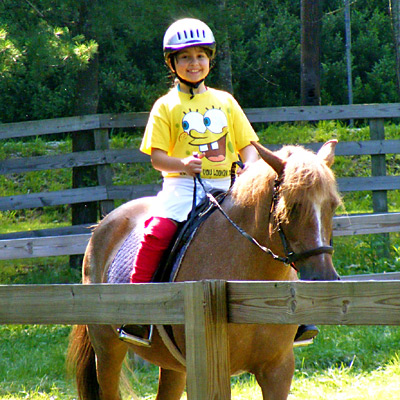 Equestrian Program Rider