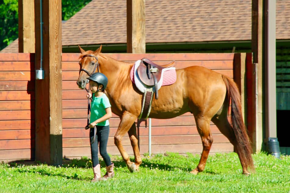 small girl leading horse at camp