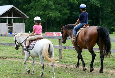 Horse Girl Teen and Young