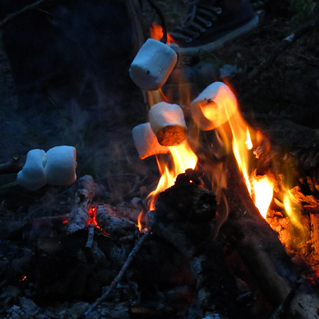 roasting marshmallows on a campfire