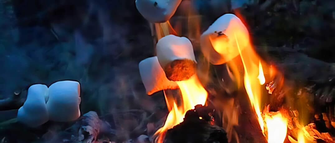 camp roasting marshmallows