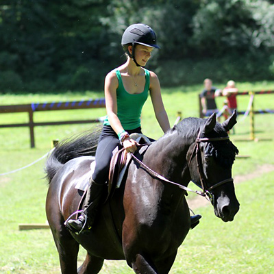 Horse Riding Sunny