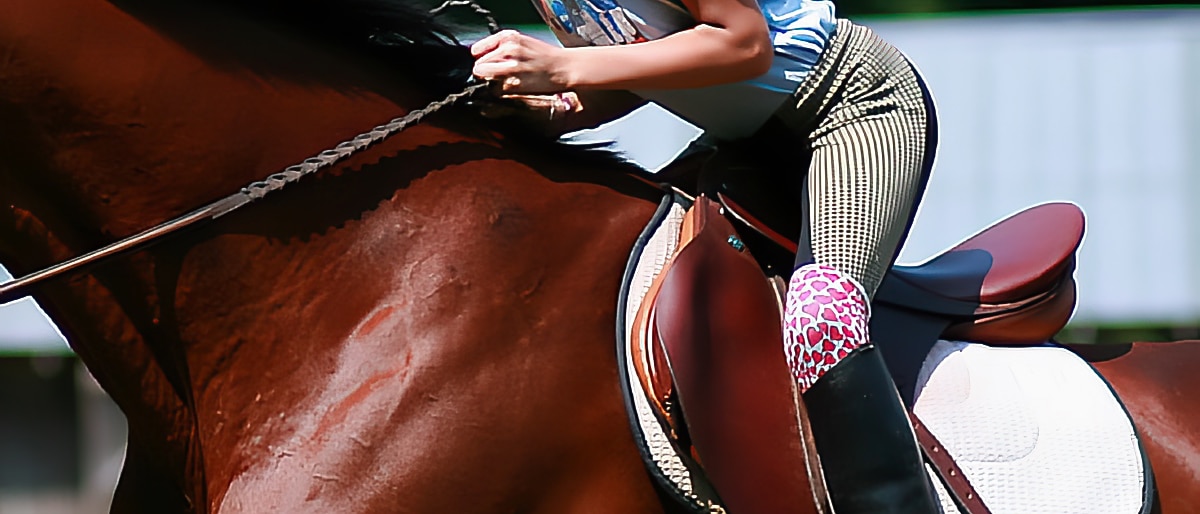 camp english riding