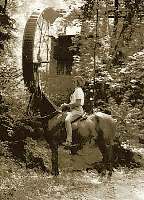 Rockbrook Water Wheel