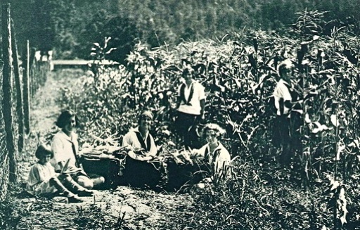 camp garden girls