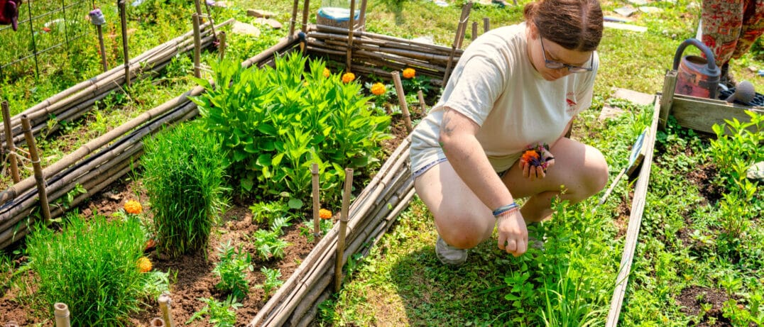 summer camp garden