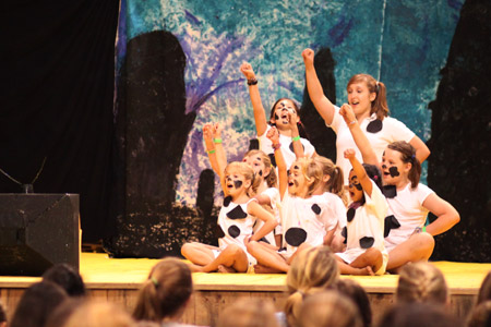 Camp play dalmations cheering