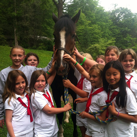 Camp horse named Hula Hoop
