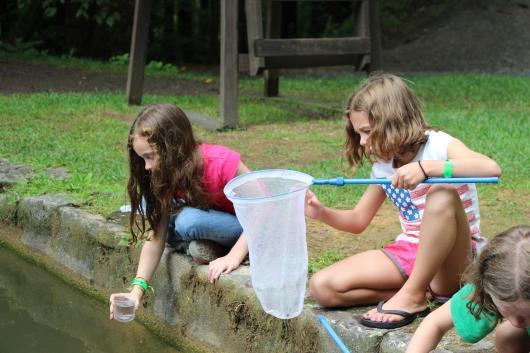 Searching for Tadpoles in Lake