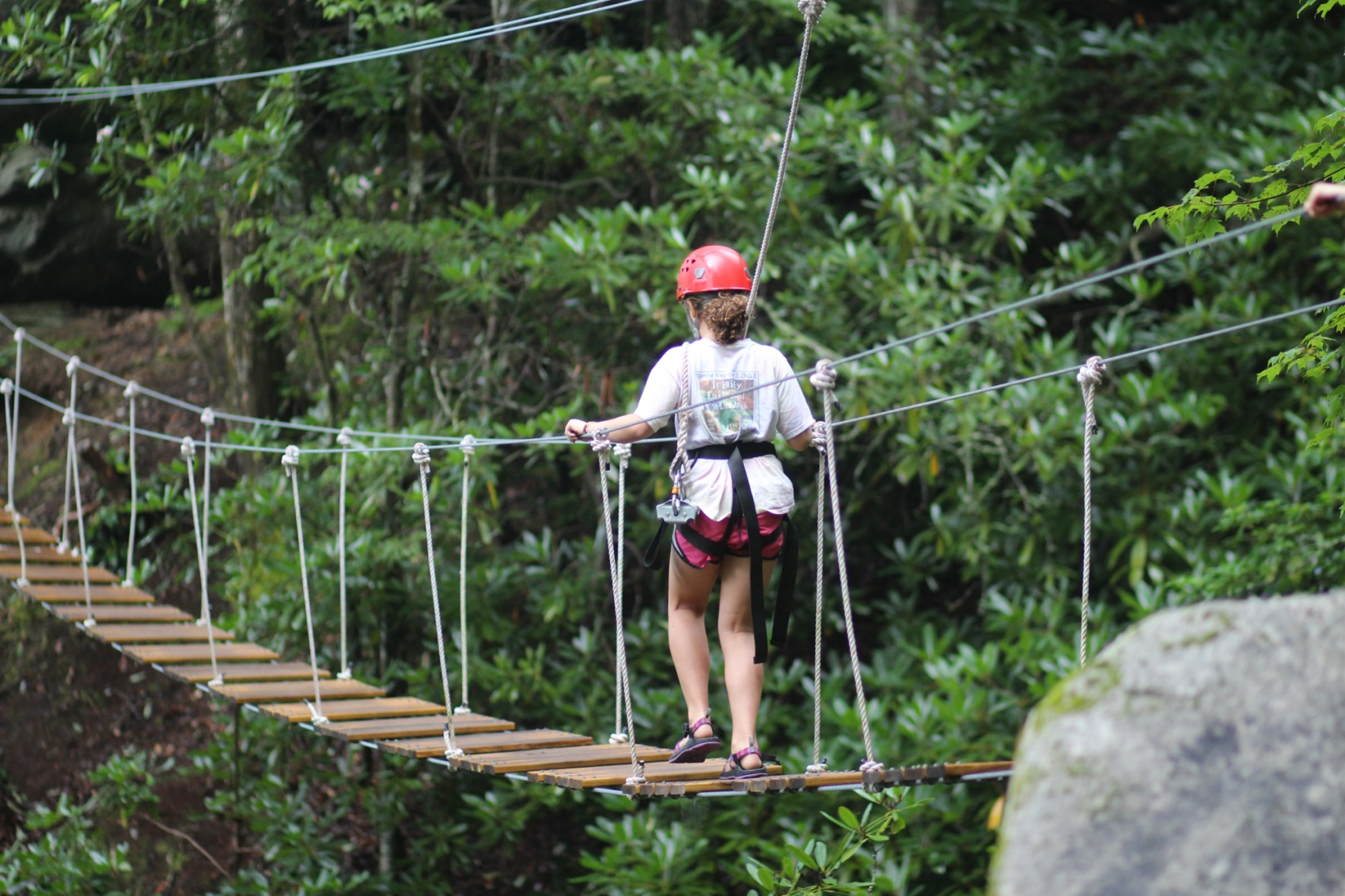 High ropes adventure bridge