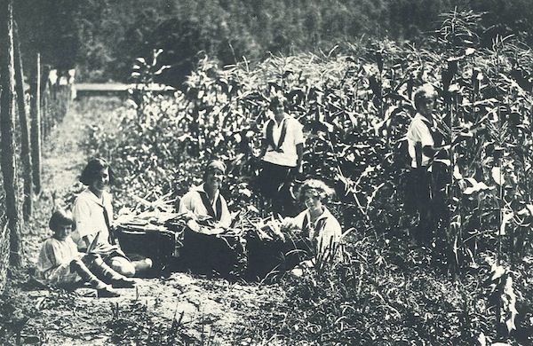 Corn 1926