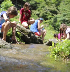 simple life in the creek