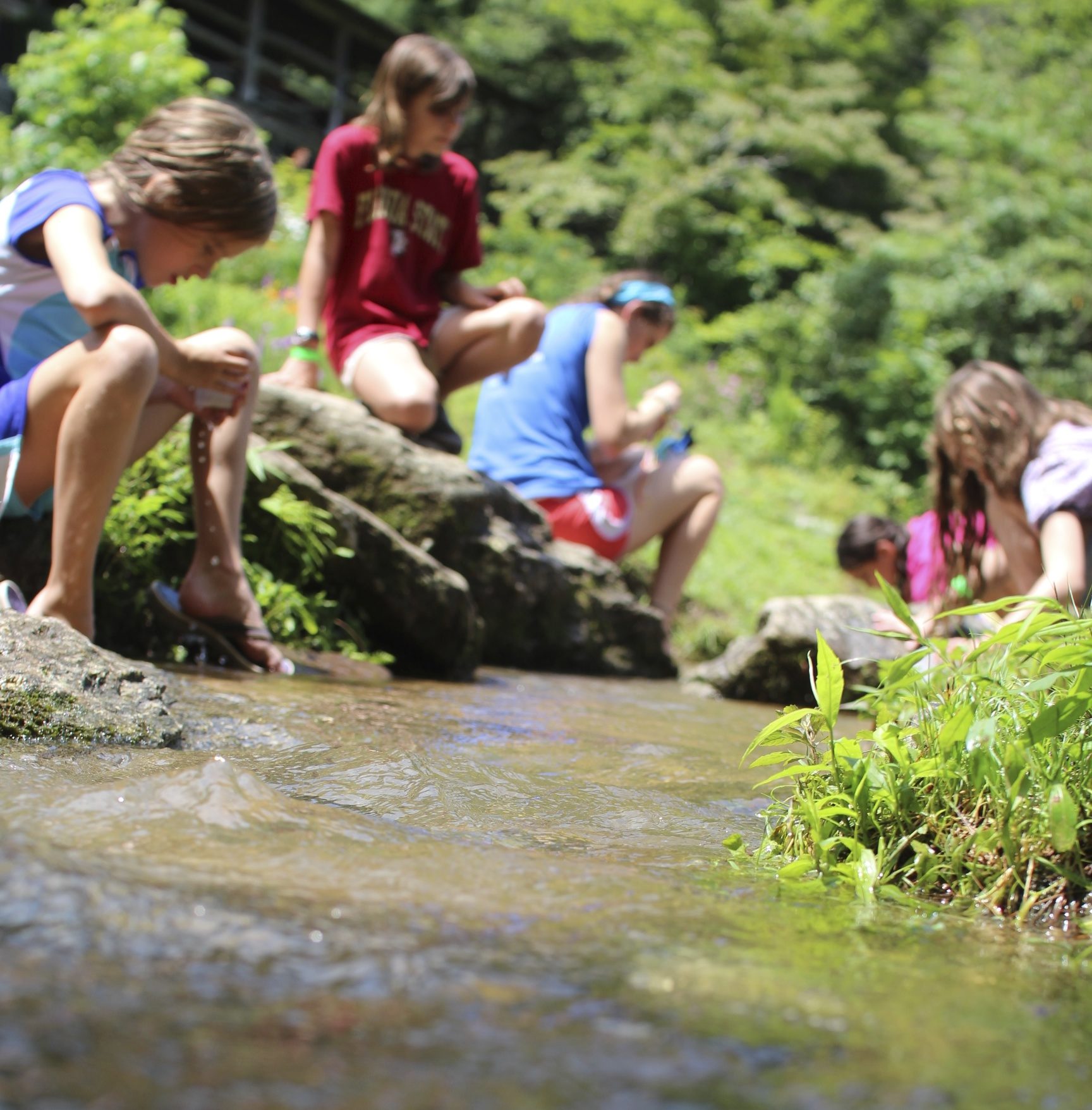 simple life in the creek