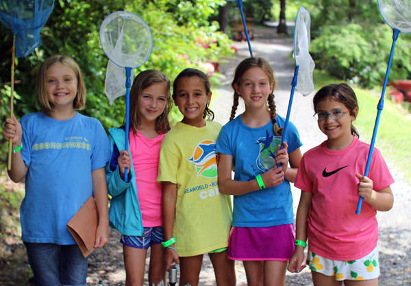 Playing with nets at camp