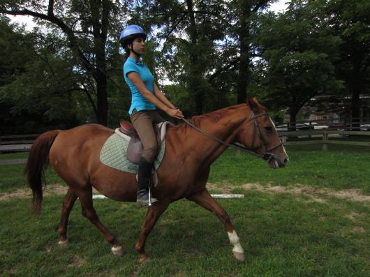 Horseback Riding