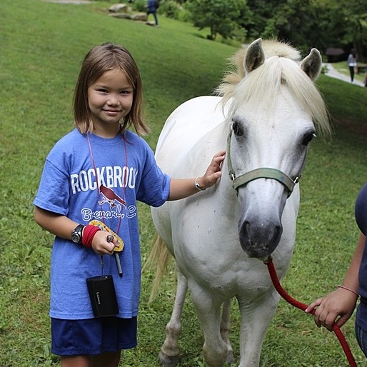 Camp Horse Girl