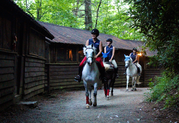 Campers awoken by horses near their cabins