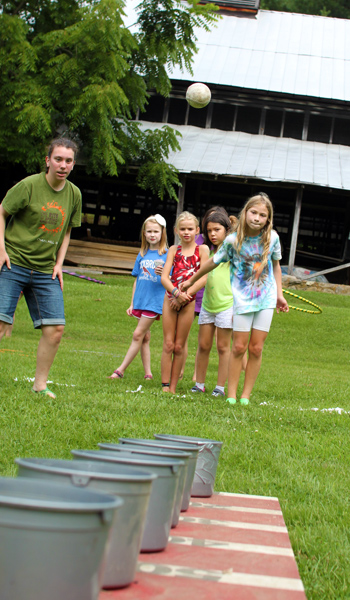 Ball Toss Carnival Game