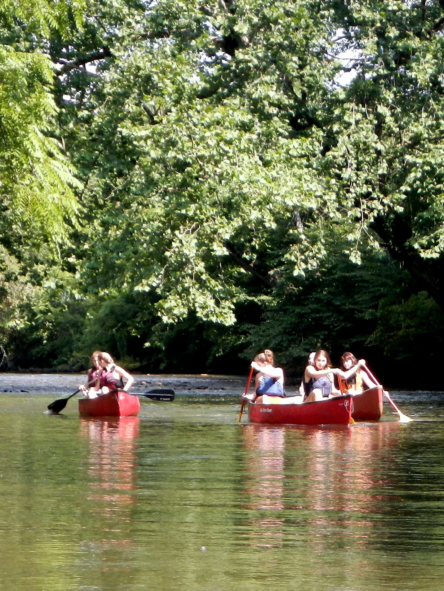 Camp French Broad Float