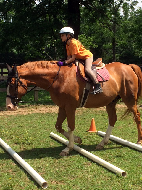 Horse Camp Riding Girl