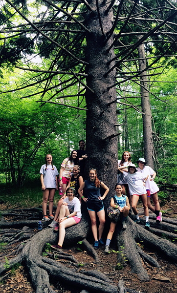Huge Tree and Camp Girls