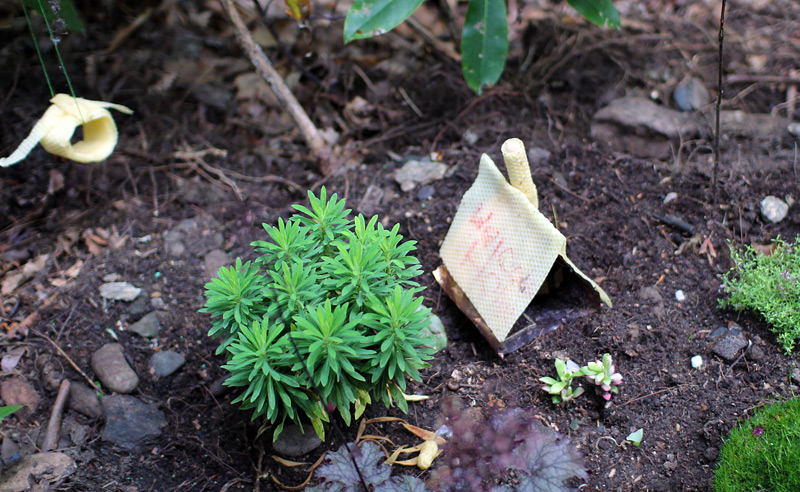 Fairy garden house at summer camp