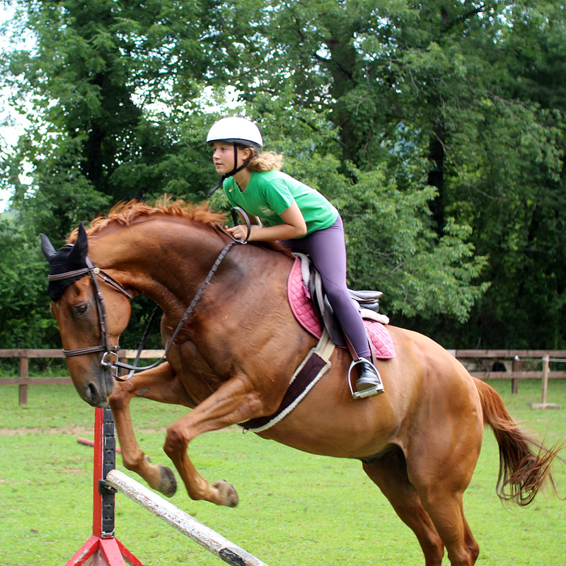 Horse Jumping Girl at Summer Camp