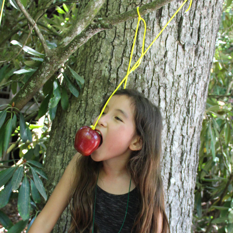 Apple on a String Game