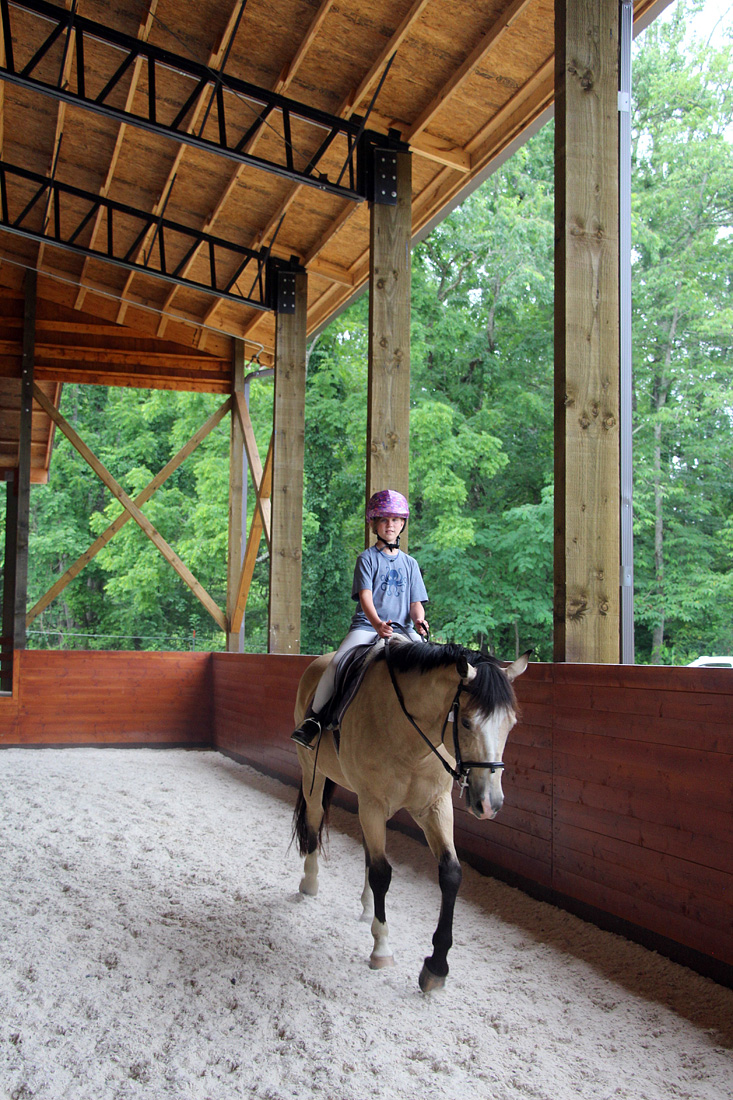 Horse Arena Rider