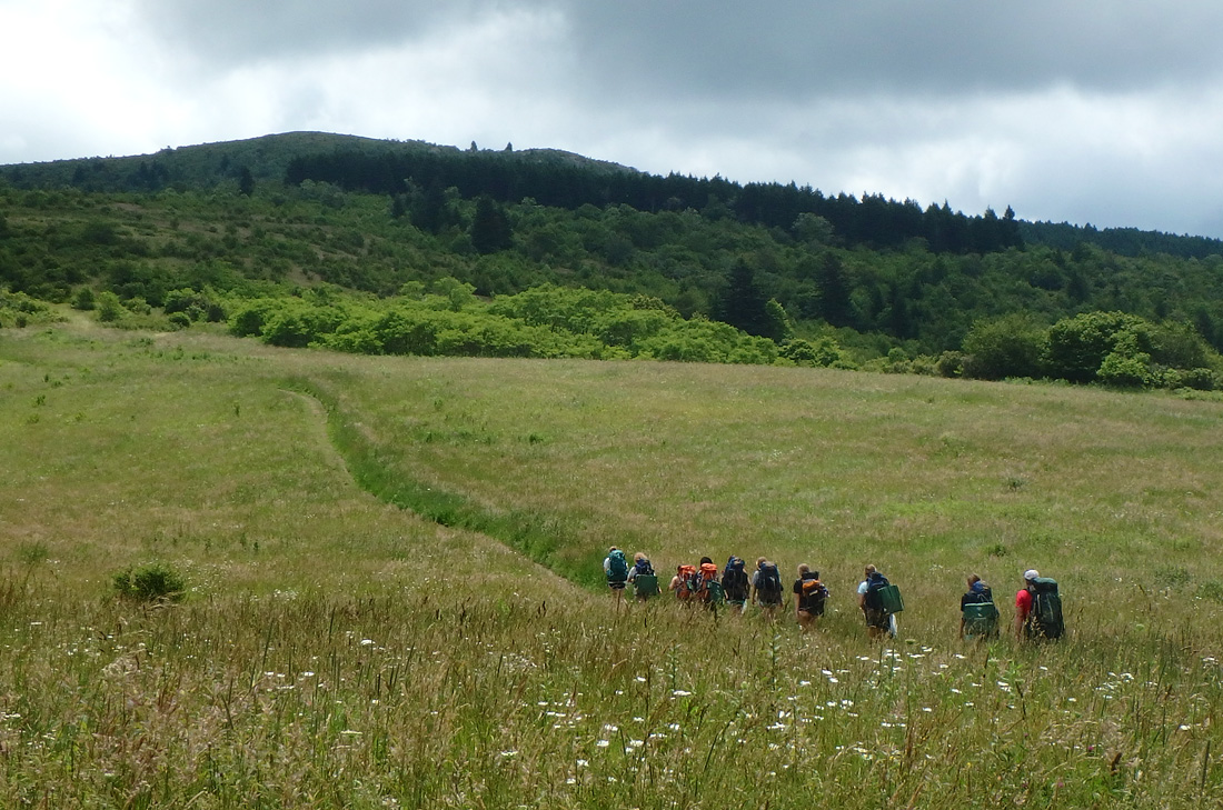 NC Meadow Hiking