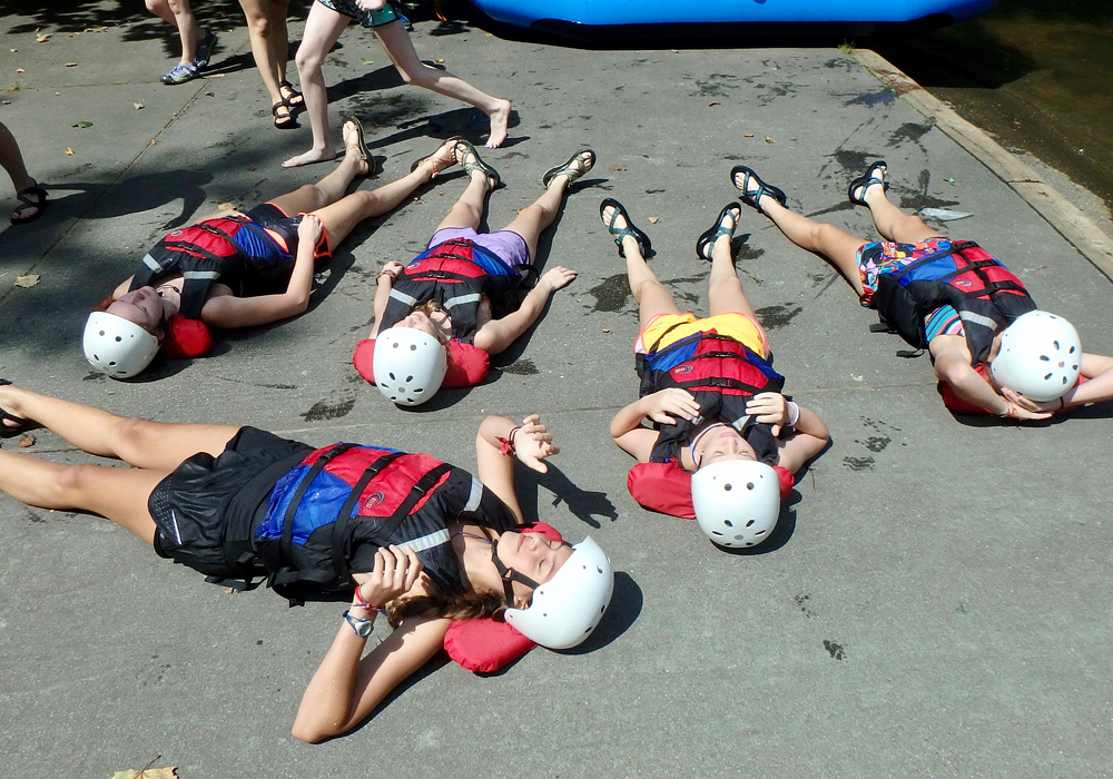 rafters warm sunning on ground