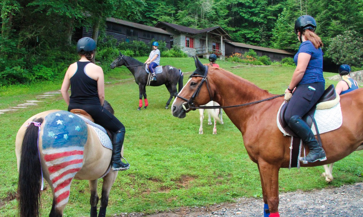 horses in camp morning