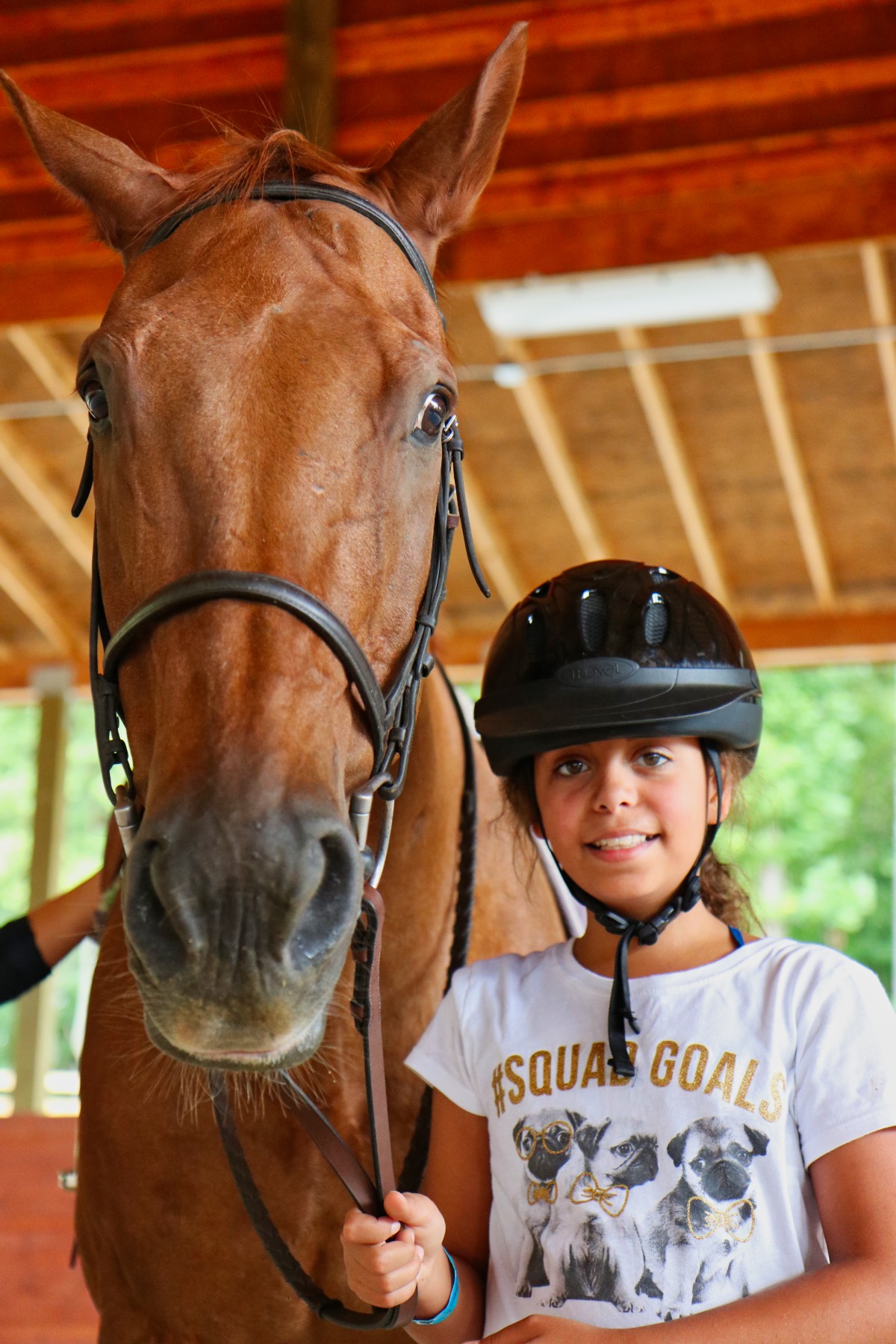 horse and small kid