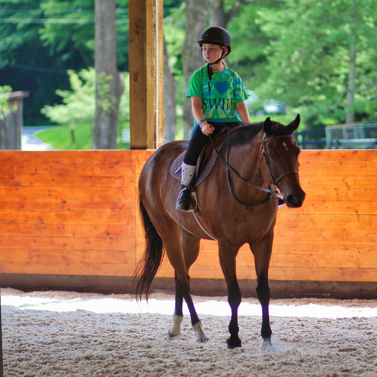 young girl horse riding