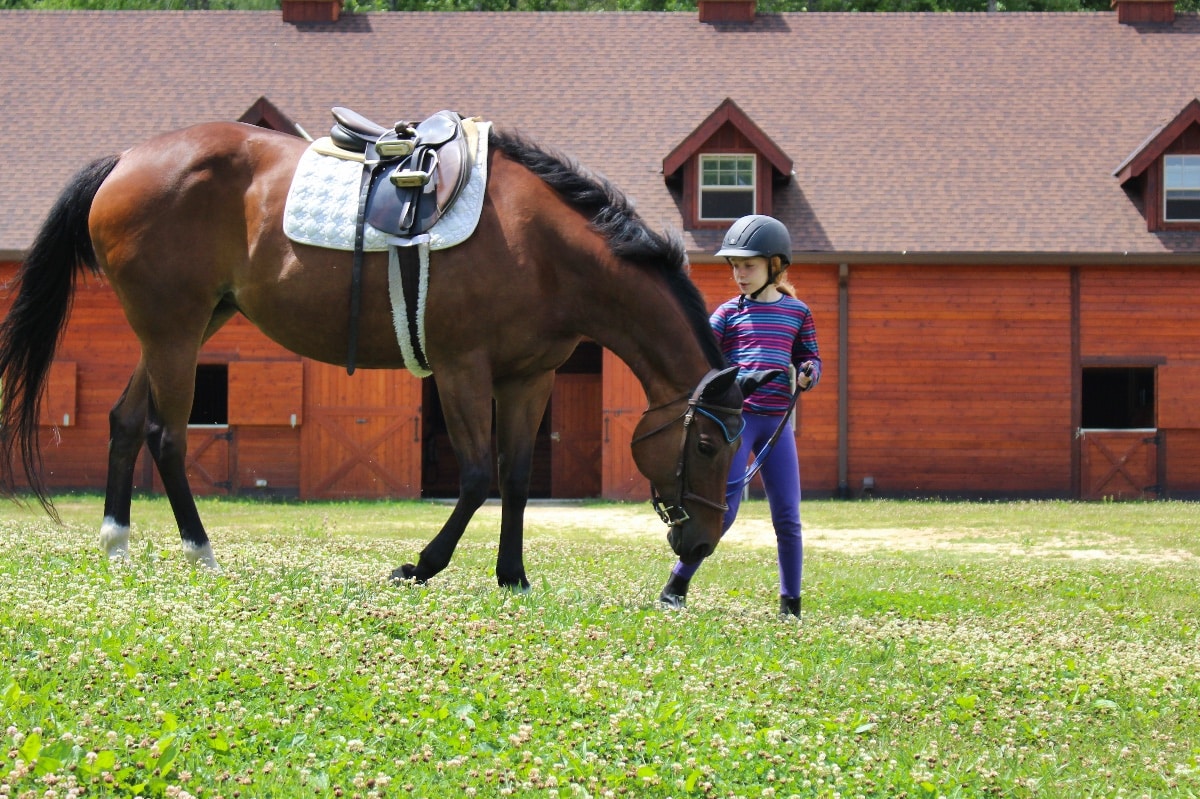 tiny kid with big horse and barn