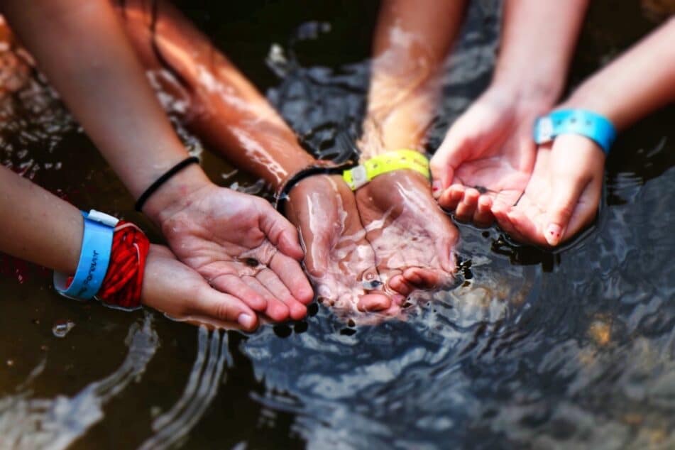 kids catching tadpoles by hand