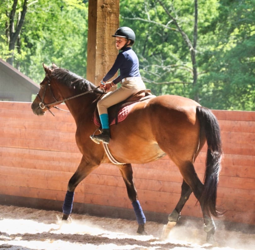young horse rider at summer camp
