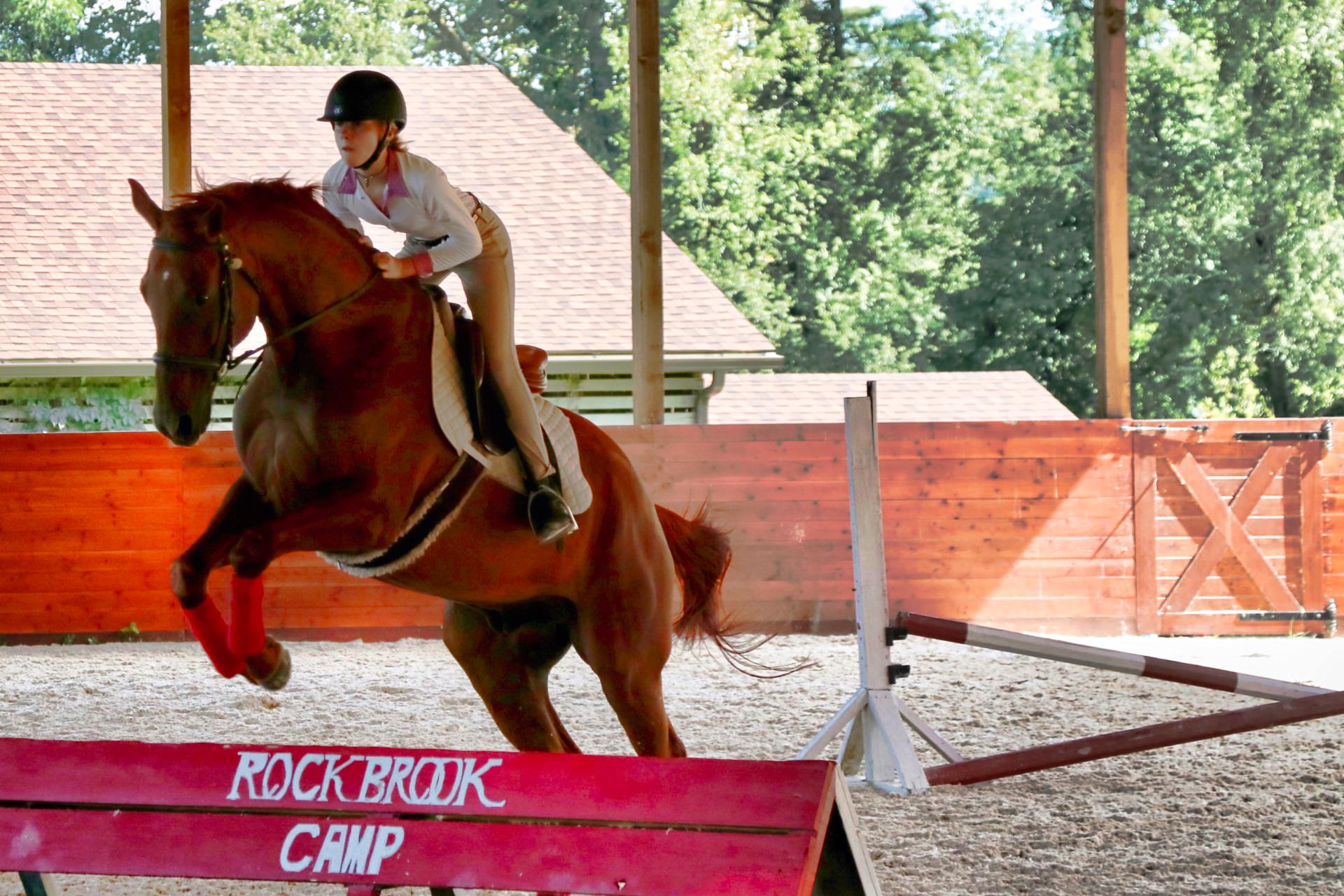 horse camp hunter jumper girl