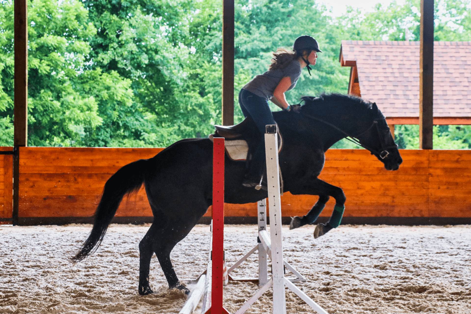 camp horse girl jumping